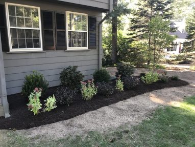 Lawn Care with Plantings and Mulching