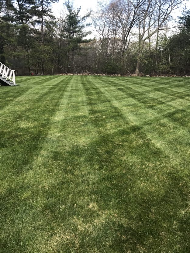 Lawn Care for Residential Landscaping Client