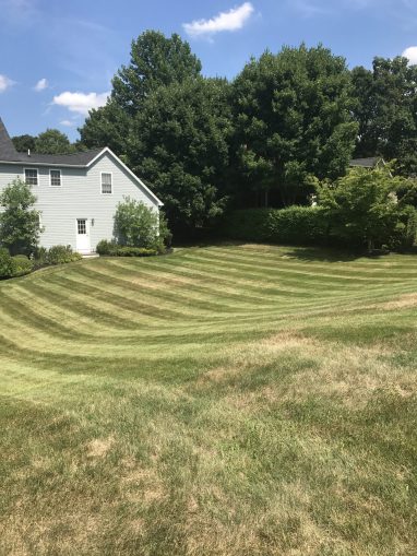 Lawn Care for Residential Landscaping Client