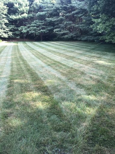 Lawn Care for Residential Landscaping