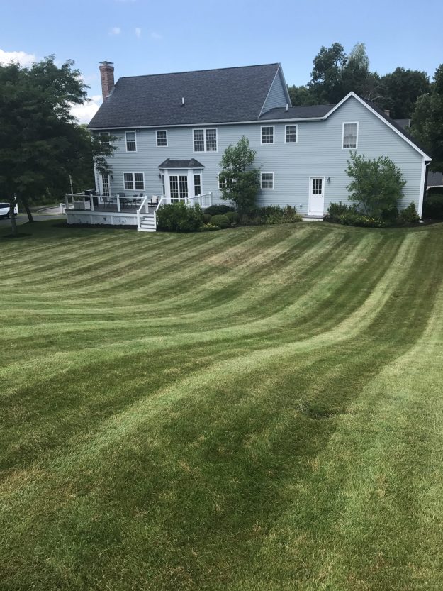 Lawn Care for Residential Landscaping