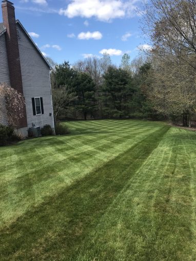 Lawn Care with Mowing for Residential Client