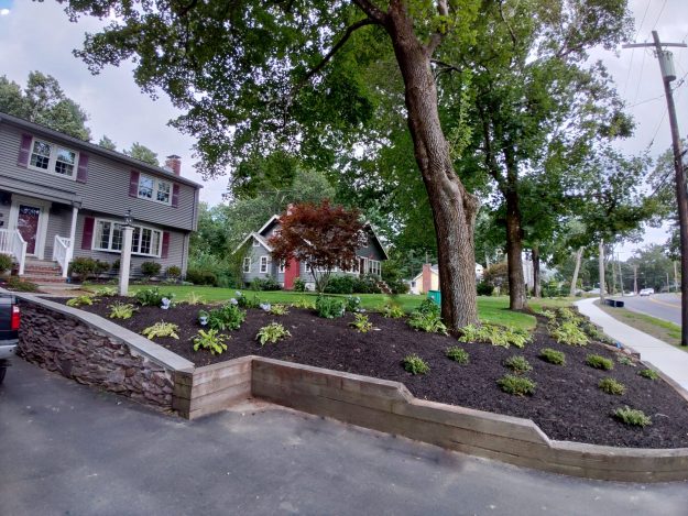 Lawn Care with Plantings and Mulching for a Residential Client