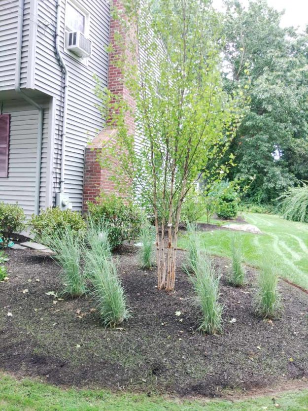 Reliable landscaper near Derry NH for mulching and plantings.