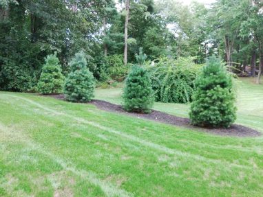Reliable landscaper near Derry NH for residential plantings, mulching, and seeding.