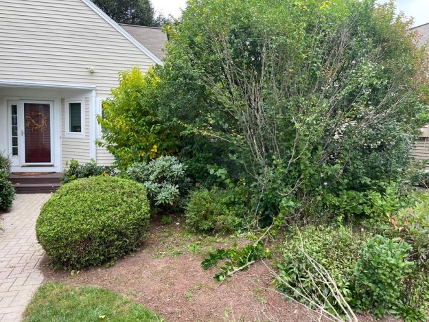 Reliable landscaper near Manchester NH for commercial pruning.