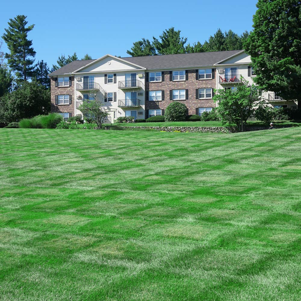 Landscaping-Services-for-NH-Commercial-and-Residential