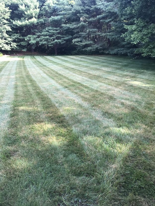 Lawn Care for Residential Landscaping