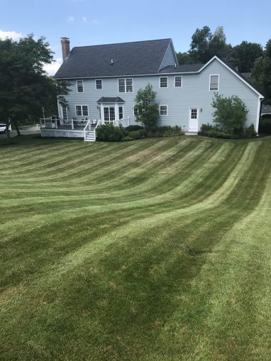 Lawn Care for Residential Landscaping
