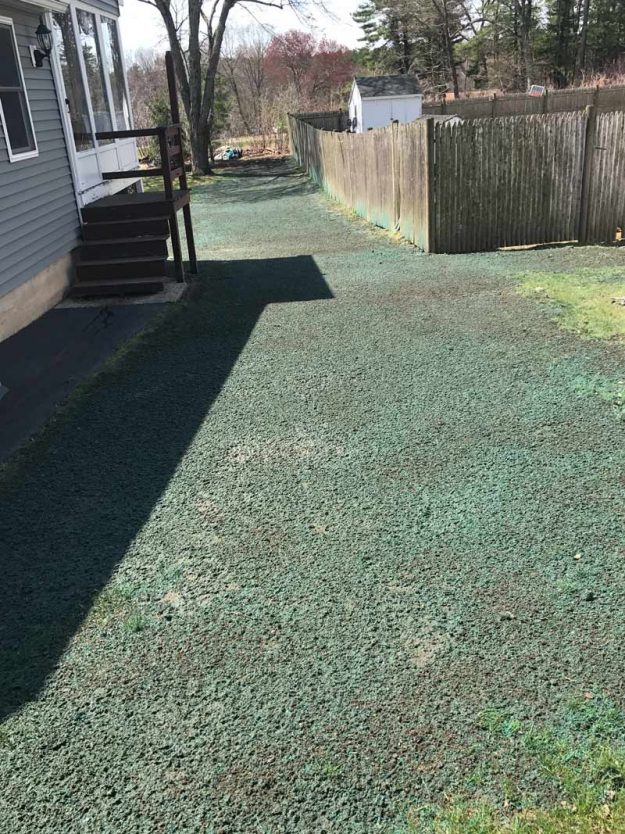 Reliable landscaper near Derry NH for hydroseeding.