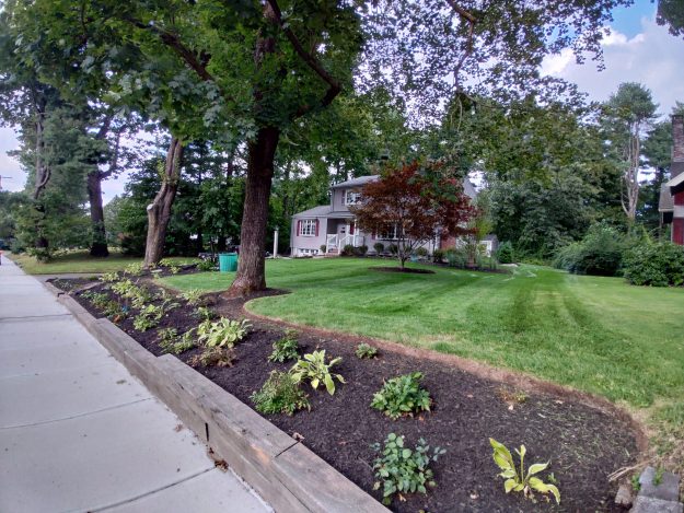 Lawn Care with Plantings and Mulching for Residential Client