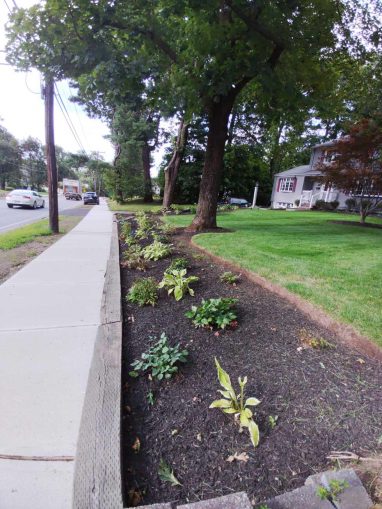 Reliable landscaper near Derry NH for plantings and mulching.