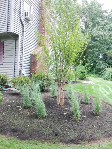 Reliable landscaper near Derry NH for mulching and plantings.