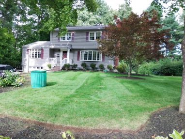 Lawn Care with Plantings, Mulching, and Seeding for Residential Client