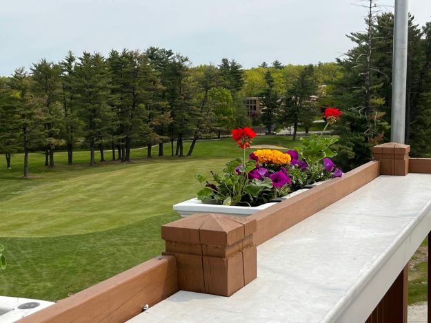 Reliable commercial landscaper near Manchester NH for pruning