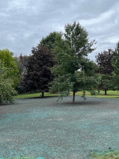 Reliable landscaper near Derry NH for residential lawn renovation with hydroseeding.