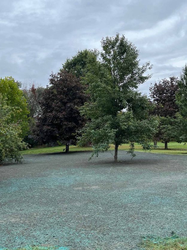 Reliable landscaper near Derry NH for residential lawn renovation with hydroseeding.